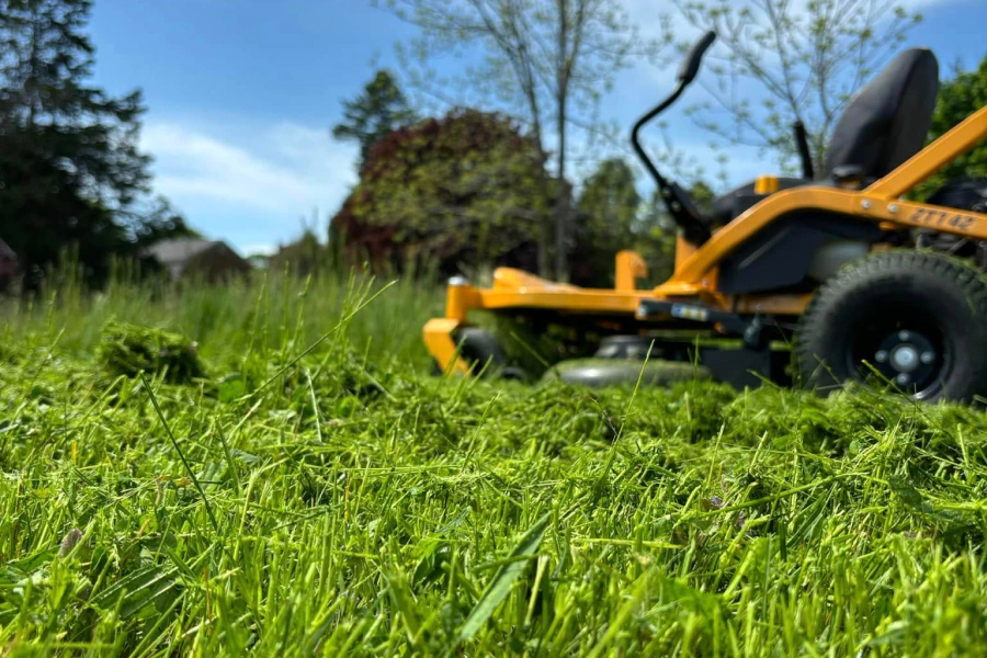 closeup of grass mowing work