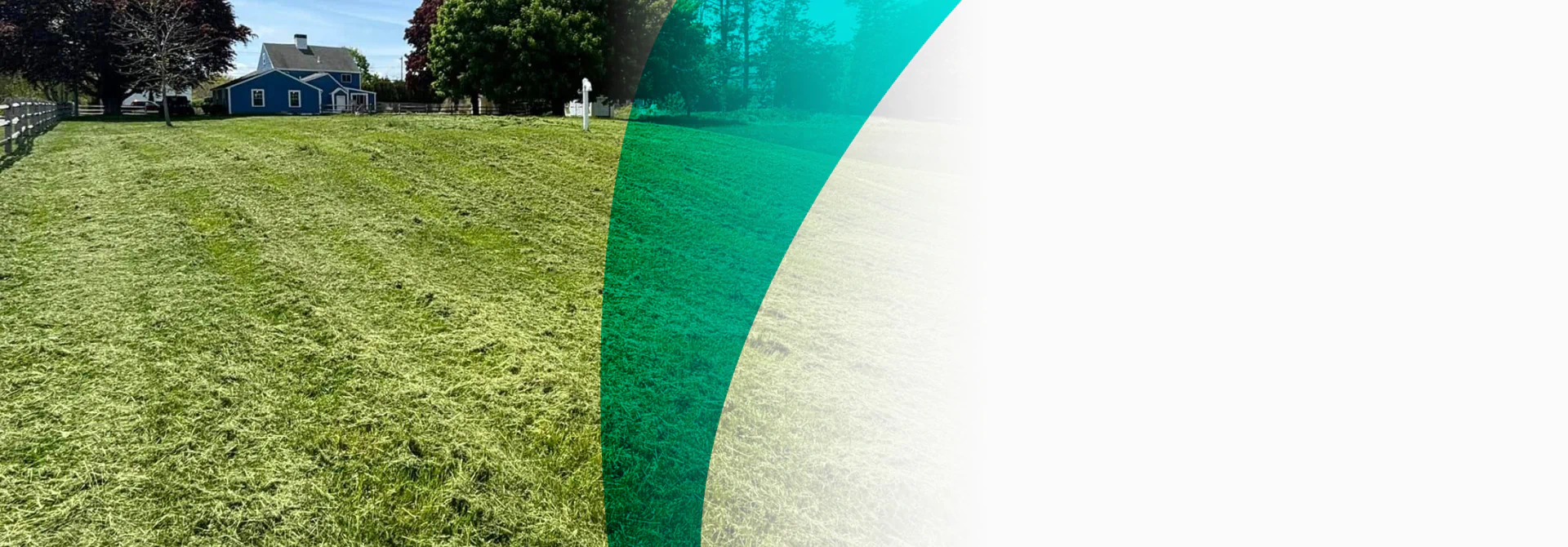 huge yard after mowing service