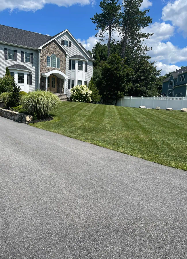 lawn care and property maintenance of residential house front yard